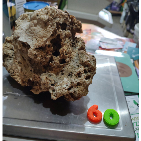 Żywa skała do akwarium morskiego - bryła nr. 60